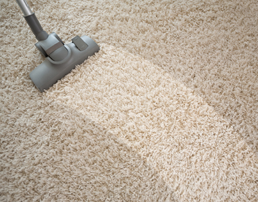 A Review Of Carpet cleaners Murray UT