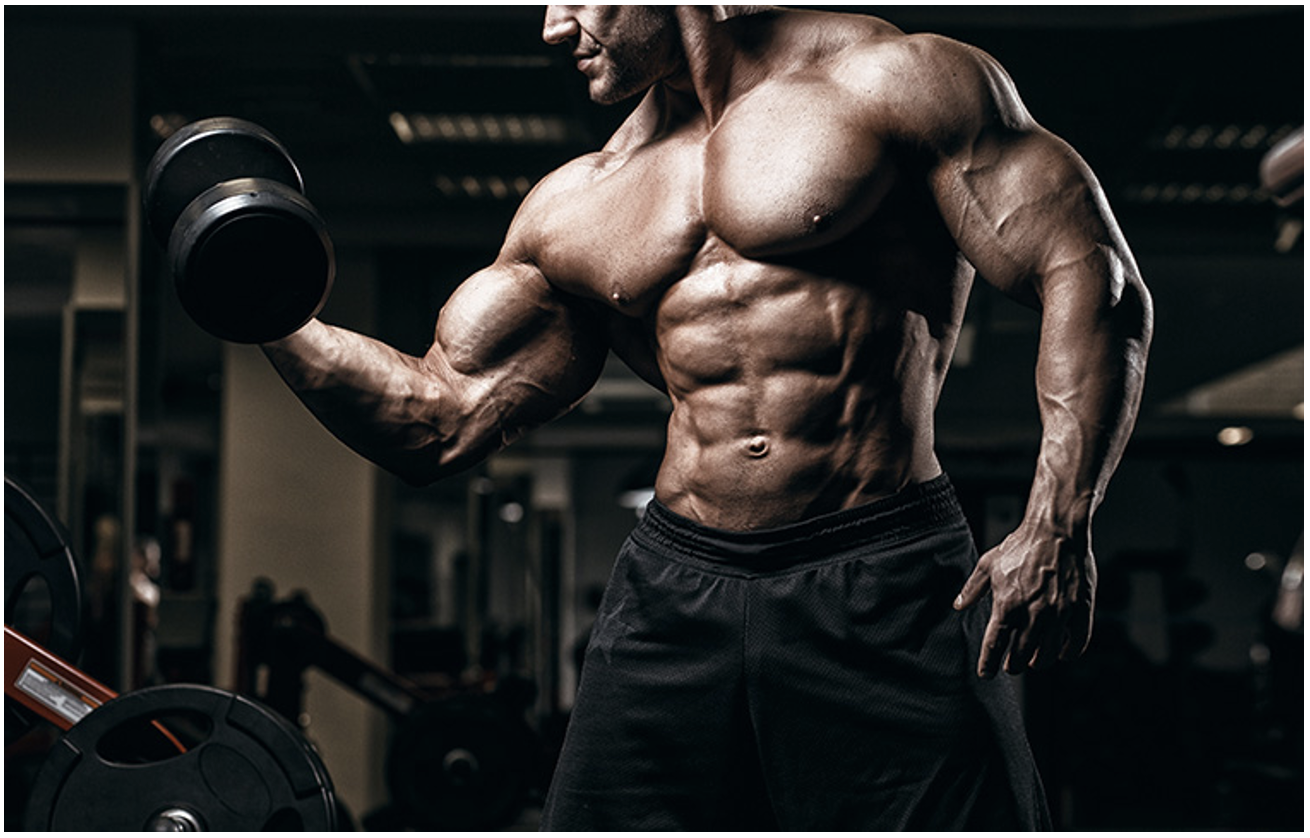 Know what the benefits you earn when buying sarms online are